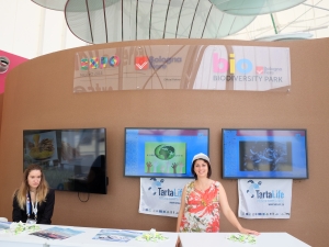 Un saluto da EXPO 2015