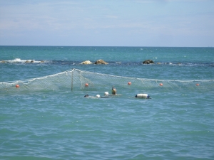 Caletta 1
