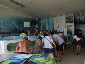 Cetacean Foundation - Riccione