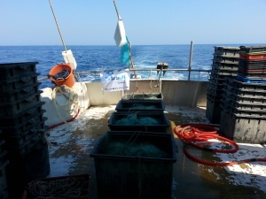 Passive nets aboard FV Skorpio