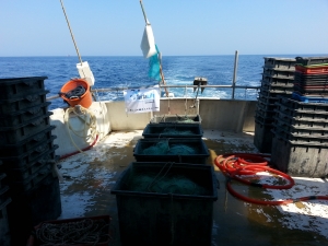 Passive nets aboard FV Skorpio