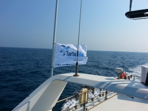 TARTALIFE flag aboard FV Skorpio