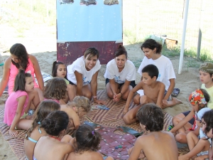 Fondazione Cetacea - Riccione