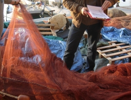 Compilazione questionario TartaLife da parte dei pescatori